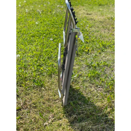 Spiaggina Fiam Jolly Tortora 2 Spiaggina Fiam Jolly Tortora - immagine 2